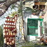 아파트 Zafaranic